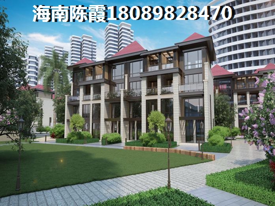红枫树林风景