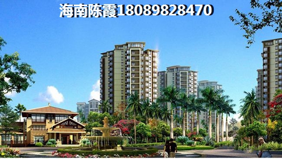 33356512315什么歌