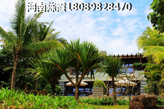 探索织金县十大必尝街头美食（织金醉出名的美食）