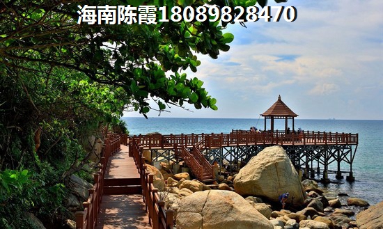入金是什么意思