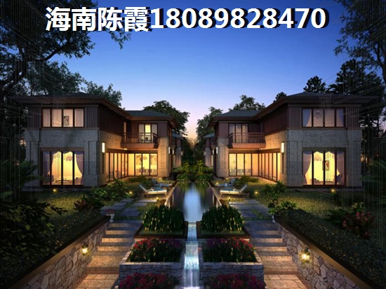 矾根草哪里购买