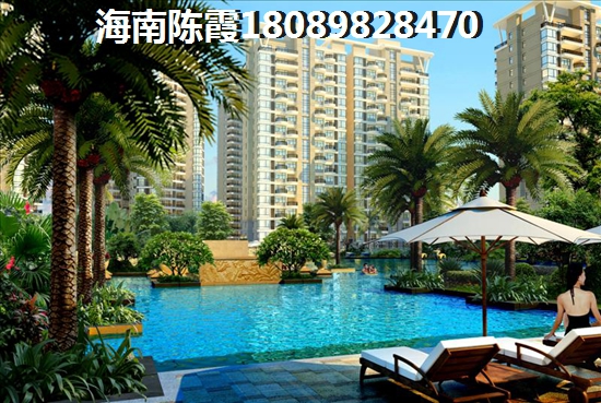 星期八小镇取名宠物公司
