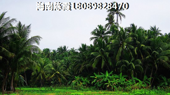 阳光椰风苑居住舒适度怎么样