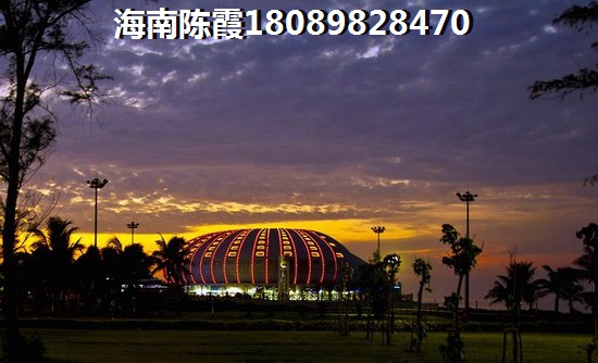 四大自由是什么歌民谣