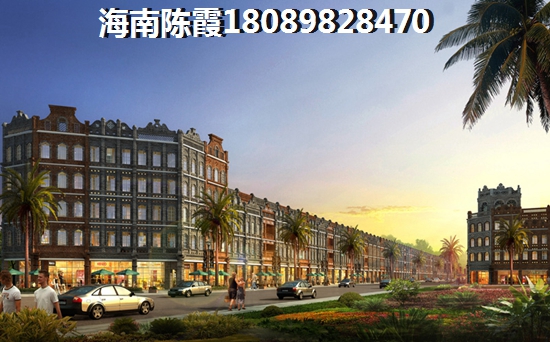 海南定安见龙苑小区地段如何？