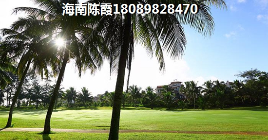 偃师市有哪些传统美食(偃师县城有什么特色美食) 偃师市有哪些传统美食(偃师县城有什么特色美食)